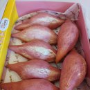 해남베스트펜션 이미지