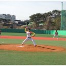 장안천야구장 이미지