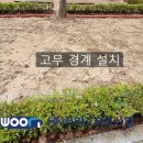 하남중앙초등학교 이미지