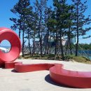 포항운하송림시장 이미지