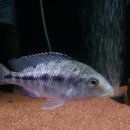 임프레스 이미지