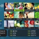 케이블TV 디지털 전환 '큐' 이미지