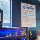 (주)전은서비스 | 서귀포흑돼지중문맛집 중문숙성돈가 최고의 다양한 서비스후기