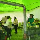 백담마을 | 아이와 인제 무료 눈썰매장 인제군 백담 눈 축제 후기