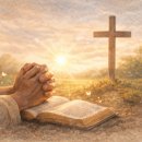 한국침례신학대학교 신학대학원 | 오목이맘의 말씀한장 #번외 | 성경공부 처음 시작하는 방법, 초보자를 위한 추천 유튜브 3가지