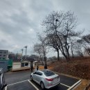 대덕면사무소 이미지