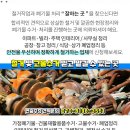 삼용주유소 이미지