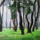 정선파인케어빌 이미지