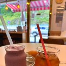 빵굽는 야옹이 이미지