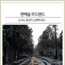 2019-12-21(토)전남 장흥 정남진 겨울풍경 편백숲길(소금찜질방)- 힐링트래킹 이미지