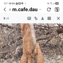 신이내려준 선물 이미지