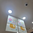 용인 이마트 동백점 고래잇페스타 할인 품목 방문 후기 리뷰
