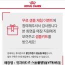 펫 파라다이스 동물병원 이미지