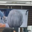흰머리염색도 디자인 시대! 미타 카즈마 세미나 후기