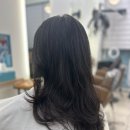 이훈헤어플러스 - 안양시 만안구 | 계룡미용실 : 나에게 딱맞는 헤어스타일로 변신했어요 [이훈헤어플러스]