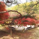 청전어린이집 이미지