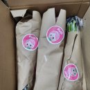 꽃님이 | 꽃택배 추천 꽃님이 제철생화 내돈내산 후기 직접 꽃다발 만들기