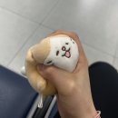 표피낭종 수술 찐찐 후기(with 논현힘찬병원) 실비청구까지..(귓볼)