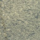 (주)모래무지 이미지