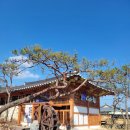 역전할머니맥주 강진점 이미지