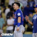 컵스 이미지