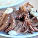 바다의 만찬 이미지