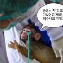 와구와구