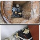 안시원 | 강서구 변기 막힘? 30분 안에 해결! 시원한 후기 대방출