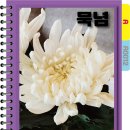 A0012 이미지