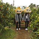 산남농장 이미지