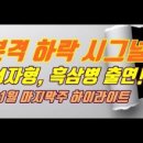 에스지네트웍스