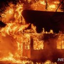 (주)캘리포니아폴스 이미지