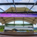 낙화담캠핑장 이미지