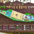 짱 놀이터 이미지