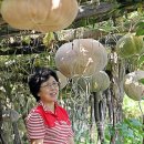 이재혁 농장 이미지