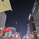 1월 11일 탄핵찬성 시위 행진 참여 깃발위주 후기