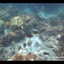 베이(BAY)7 이미지