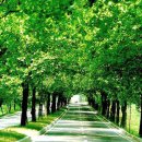 이렇게좋은날 이미지