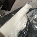 (주)바이탈투어 | 파스쿠찌 코코넛커피그라니따 다시 팔아주세요 🙏