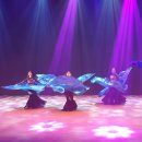 다산문화예술진흥원 세계춤 페스티벌 벨리비아댄스 이미지