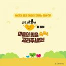 대박전집 네이버블로그