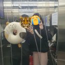 [여행] 가평 또바기 글램핑 카라반 다녀온 후기 (내돈내산 / 뚜벅이 자매)