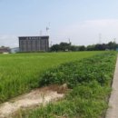 옥금리 마을회관 이미지