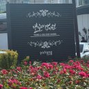 양덕동147 | 포항 여행 가볼 만한 곳 영일대해수욕장 영일대장미원 실시간 개화 상황