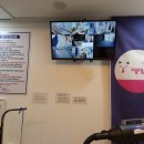 댕댕워시 이미지