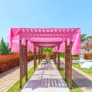 기차마을가든 이미지