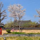 숭혜전 소공원 화장실 이미지