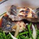 칭구장어 이미지