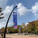 그랜드 민트 페스티벌(GMF,그민페) 후기