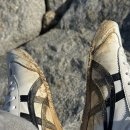 서금방파제 이미지